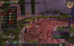 WoWScrnShot_111525_133306.jpg