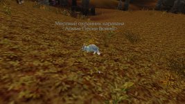 WoWScrnShot_012226_192035.jpg