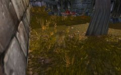 WoWScrnShot_022626_203307.jpg